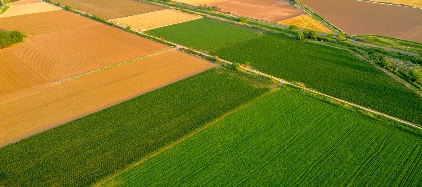 The Role of Technology in Modern Farming