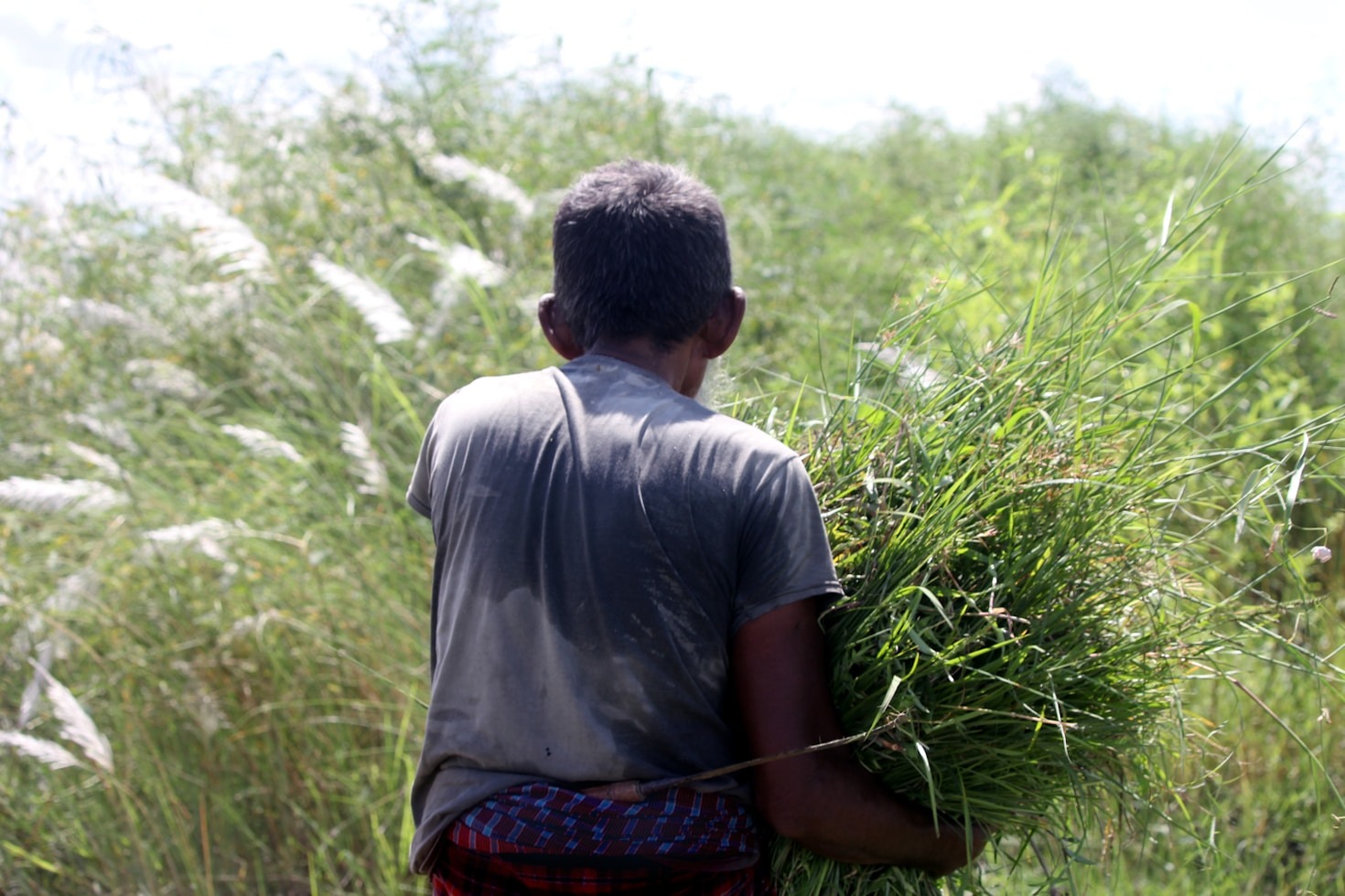 How to Maximize Your Farm’s Productivity